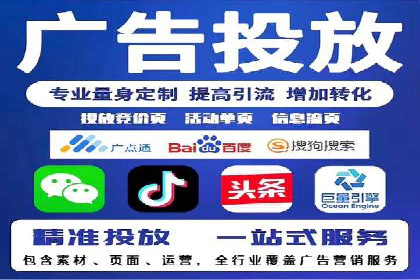 SEM搜索引擎优化策略解析与应用案例